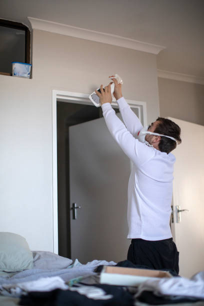  Riverwoods, IL Mold Removal Pros