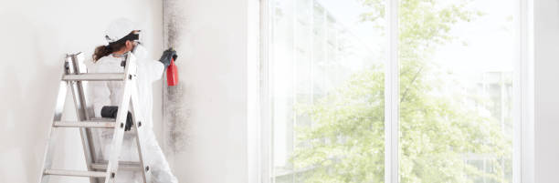 Best Industrial Mold Remediation  in Riverwoods, IL
