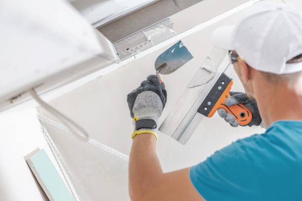 Best Asbestos and Lead Testing During Mold Inspection  in Riverwoods, IL